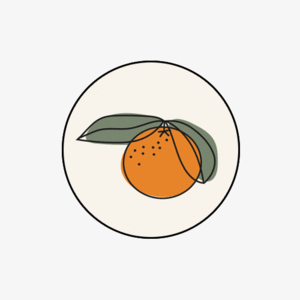 [모딘톡] 오렌지트리